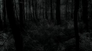 Lustmord - Black Star