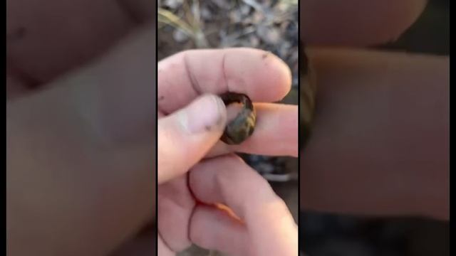 Коп!Кольцо,перстень.Царская Россия!!! смотреть онлайн