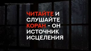 Прекрасное чтение Корана / Махди аш-Шишани. Читайте и слушайте Коран - Он источник исцеления.
