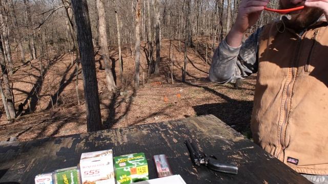 HERITAGE ROUGH RIDER REVIEW 22LR 22 MAGNUM смотреть онлайн