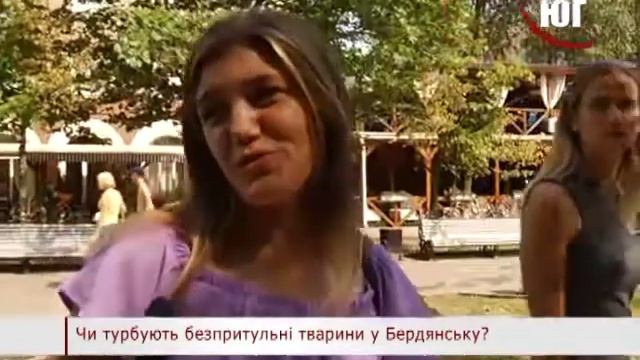 БЕРДЯНСК 2018 опрос СОБАКИ 2018 07 18 смотреть онлайн