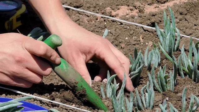 Кисловодск - роскошный курорт в любое время года смотреть онлайн