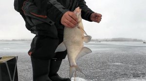 Натёр ведьму секретным оружием от бесклёвья и дело пошло. Конец трёх дневной рыбалки.