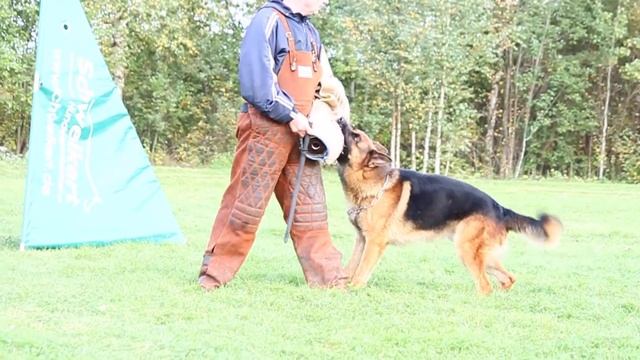 Люстикхоф Форвард (2).MOV смотреть онлайн