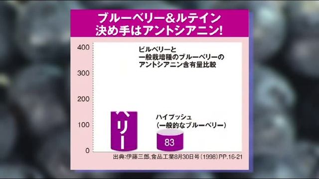 AFC Blueberry-Lutein Eye Care смотреть онлайн
