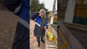 Как Дед деньги искал  / ГАРДЕЙ И ИВАНЫЧ #топ #дед #рек #прикол #волгоград #shortsvideo #shorts #art