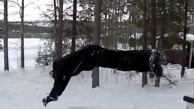 Funny Slow-motion Video