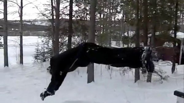 Funny slow-motion video