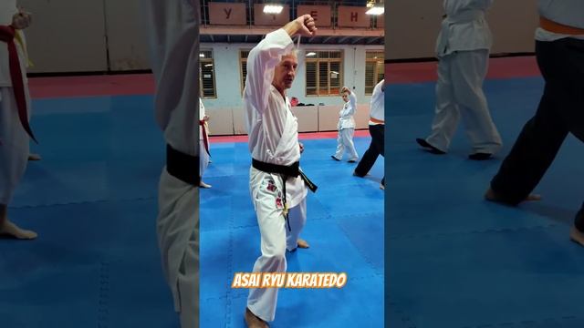 Тренировочный процесс. Asai Ryu karatedo. #asairyu #karate #каратэ смотреть онлайн