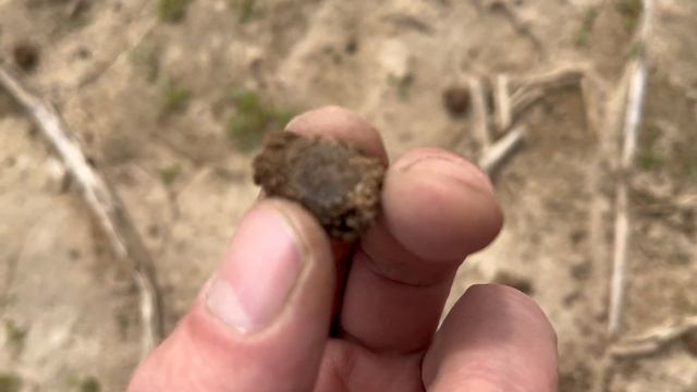 КОП НА УРОЧИЩЕ смотреть онлайн