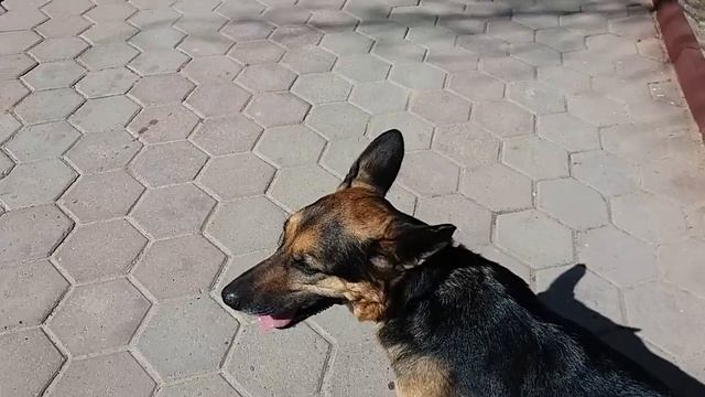 С днём косманавтики, люди! смотреть онлайн