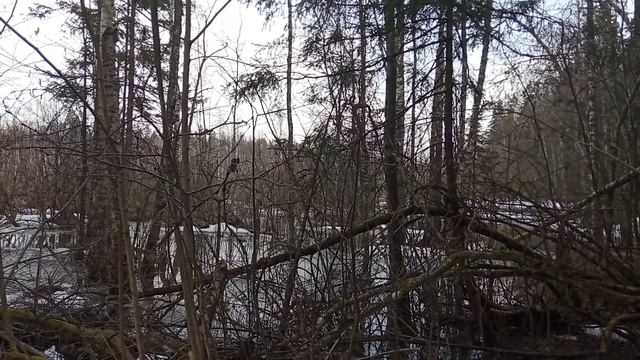 Журавлиный вокал. Часть 2 смотреть онлайн