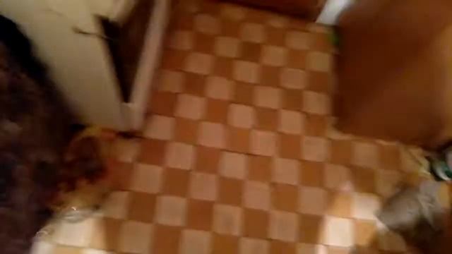 Роллы v/s Пельмени смотреть онлайн