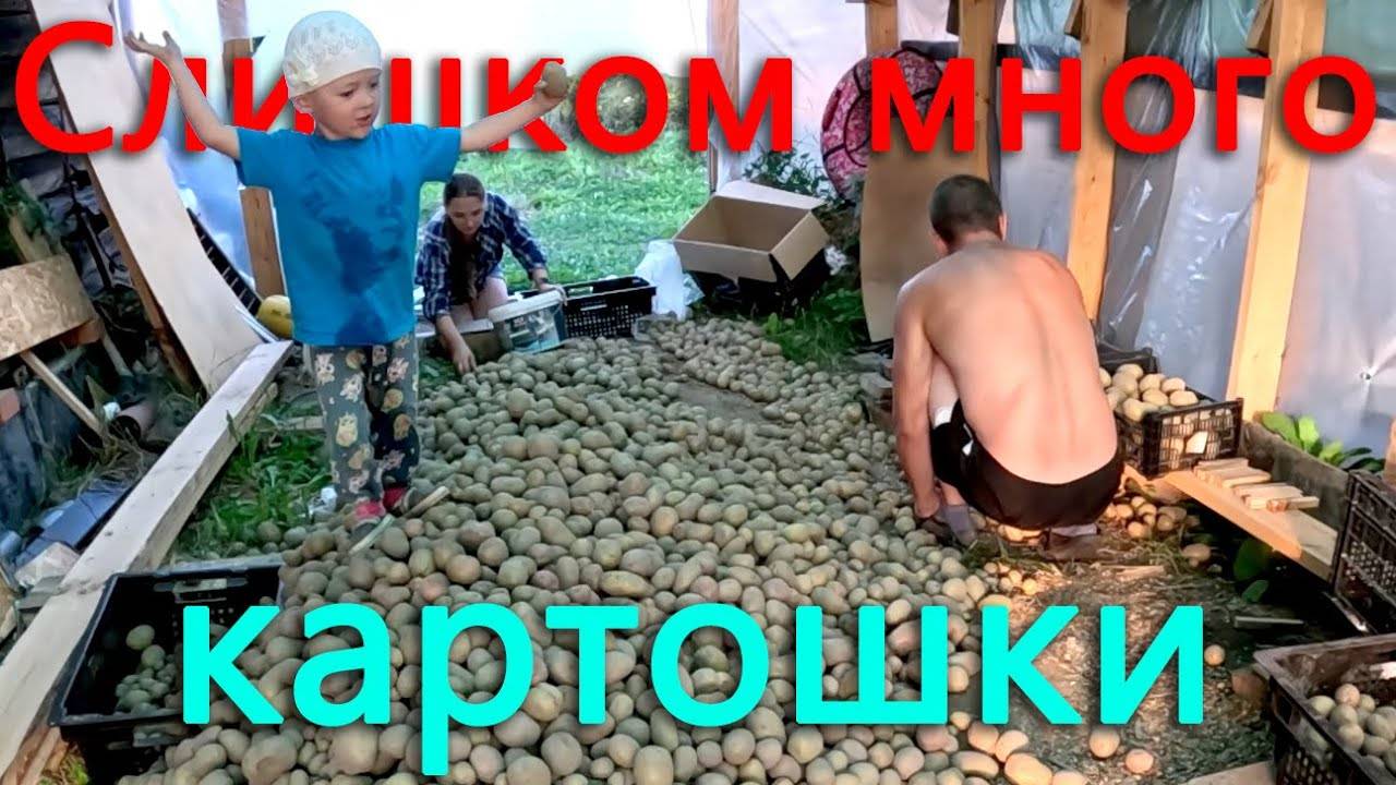 Лучший урожай картошки в деревне_ Прихожая превратилась в овощебазу. Осень в деревне смотреть онлайн