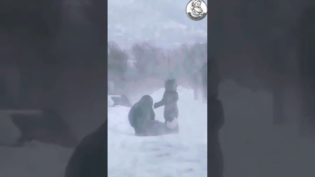 Чудо!!!🤗.mp4 смотреть онлайн