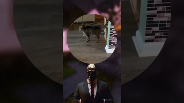 Выравнивает стену🤣