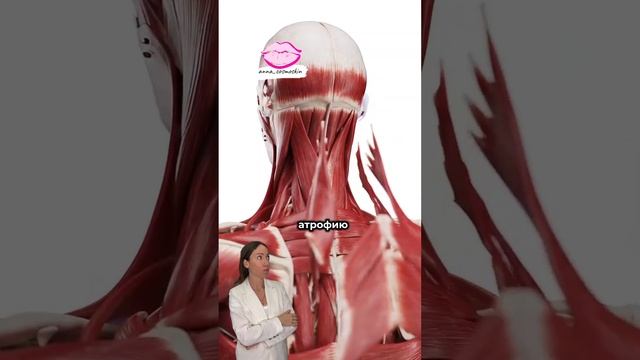 Короткая шея как ее удлинить #обучениекосметологов #ботокс #губымосква