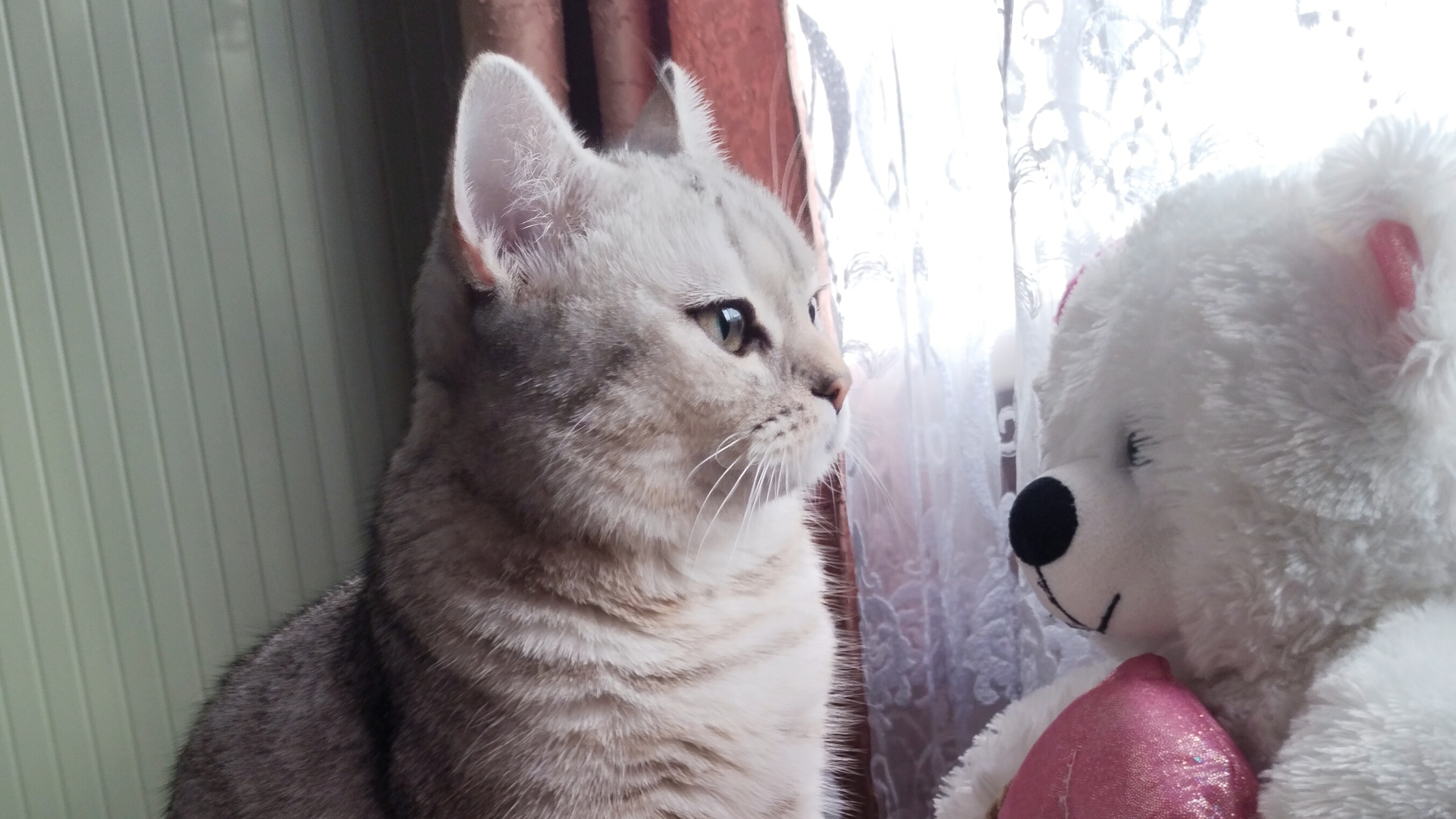 ВЕЛЮРОВЫЕ ПЛЮШИКИ