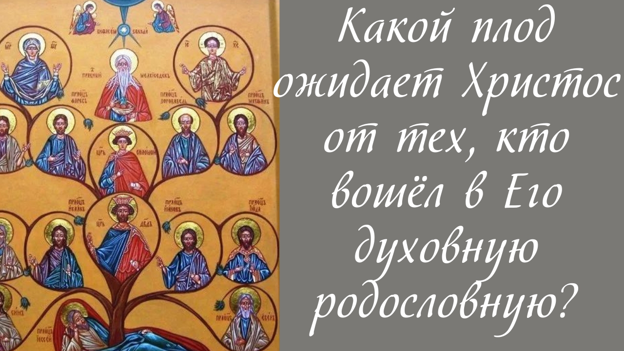 Какой плод ожидает Христос от тех, кто вошёл в Его духовную родословную? смотреть онлайн