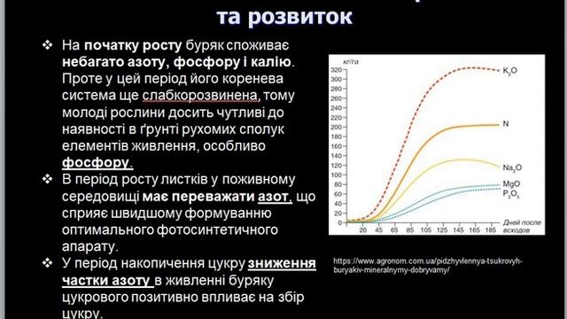 Агрохімія. Лекція 26. Удобрення цукрового буряку. смотреть онлайн