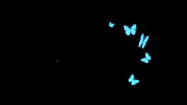 Neon Blue Color Butterfly Background Video Effects HD Black Screen Template смотреть онлайн