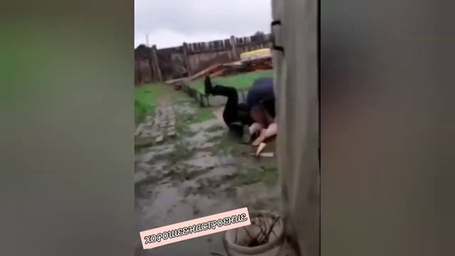 Девочка-гроза/ШУТКА НА МИНУТКУ смотреть онлайн