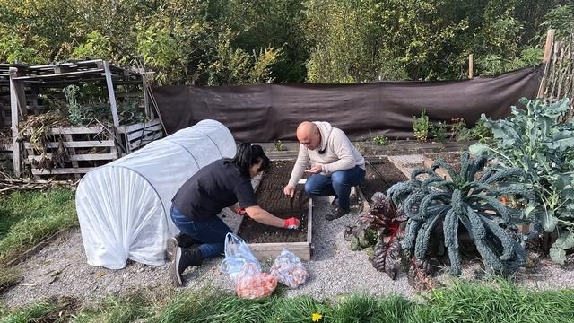 Какво да засадим през октомври? Как да предпазим новите растения от слана? смотреть онлайн