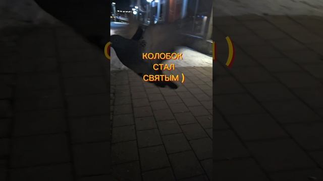 СВЯТОЙ КОЛОБОК смотреть онлайн