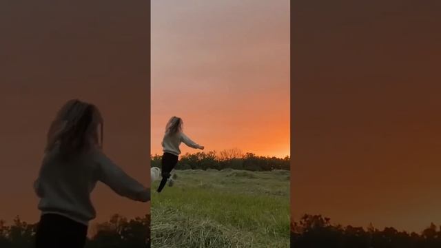 #samoed #самоед #самоедскаялайка #dog #самоеды #собака #самоедскаясобака #dogs смотреть онлайн