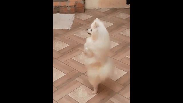 зефир фильм 1 смотреть онлайн