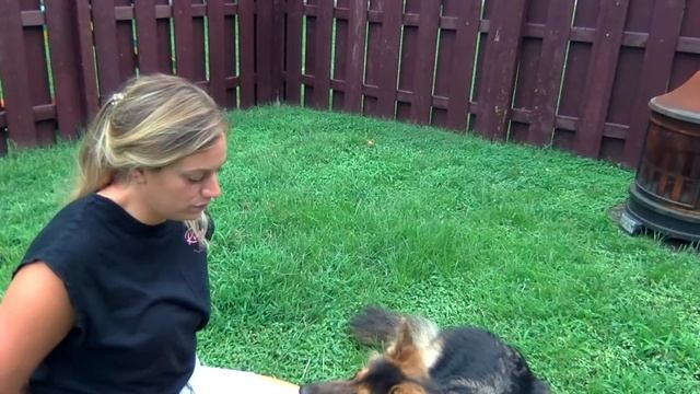 Training Prep at Home - Video 2.1 смотреть онлайн