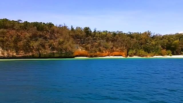 Король Оранжевое Лето - King Orange Summer, Guardalavaca, Cuba June 2011 HD смотреть онлайн