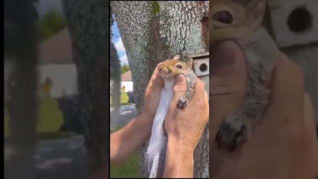 Подписывайся и готовься к порции безумия, которая взорвет твой день! 🚀 смотреть онлайн