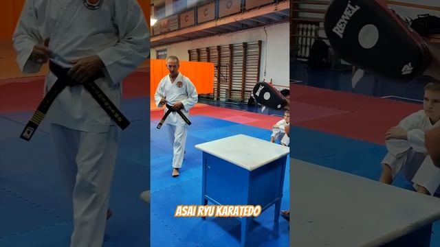 Коррекция траектории Маваши Гери с помощью препятствия. #asairyu #karate #каратэ смотреть онлайн