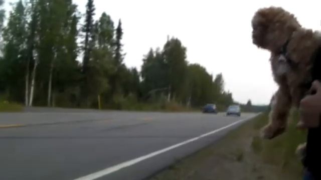 gt3076r dodge neon srt4 vs gc8 coupe subaru impreza with wrx swap 2 смотреть онлайн