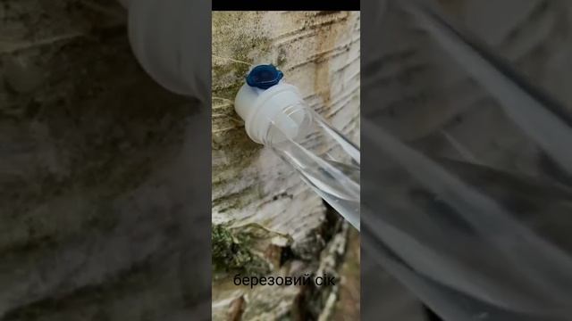 #shorts березовий сік 😊😊😊 смотреть онлайн