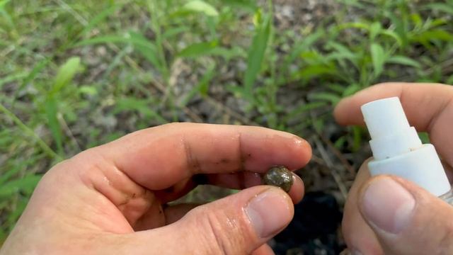 ЛЕС И ЦАРСКИЕ МОНЕТЫ! смотреть онлайн