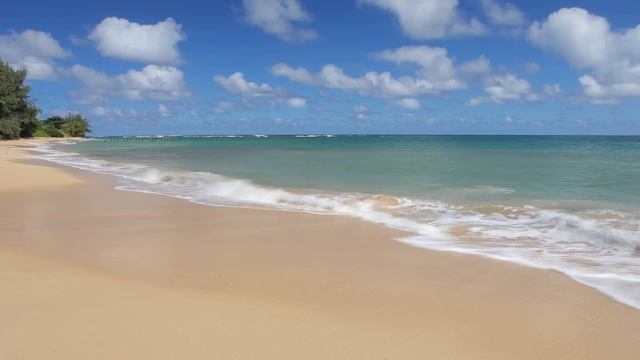 Meditation Music - Nature Scenes - Yoga, Relaxation смотреть онлайн