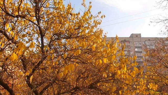 ЗАВТРАК//СГЛАЗ//СТАРЕЦ ЛУКА//ОБЕД В КАФЕ//БАЛОВСТВО// смотреть онлайн