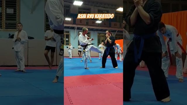 Объяснение траектории удара Маваши Гери гедан. #asairyu #karate #каратэ смотреть онлайн