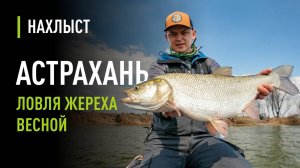 Ловля ЖЕРЕХА нахлыстом весной с глубины. Стримеры для КРУПНОГО жереха, проводка и тактика ловли.