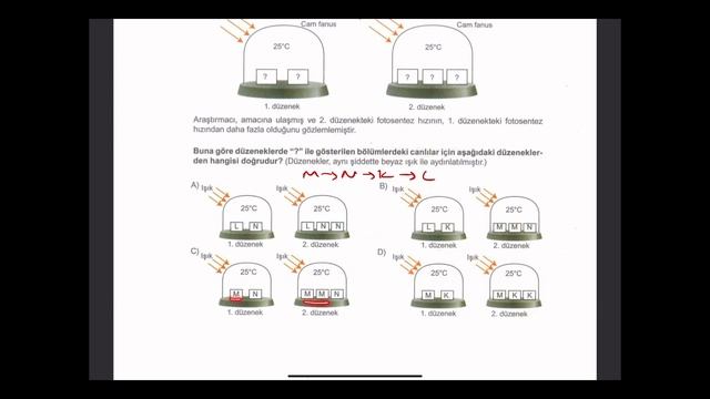 SİNAN KUZUCU 8. SINIF LGS MAYIS 2024 (SON DENEME ) ÇÖZÜMLERİ смотреть онлайн