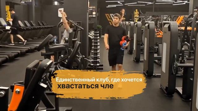 Место, де хочется хвастаться абонементом. смотреть онлайн