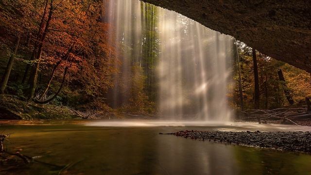 Псалом Давида 81. смотреть онлайн