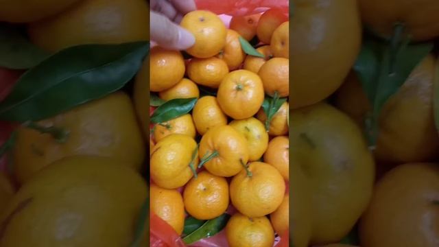 Fresh Mandarin from market#short#asmr смотреть онлайн