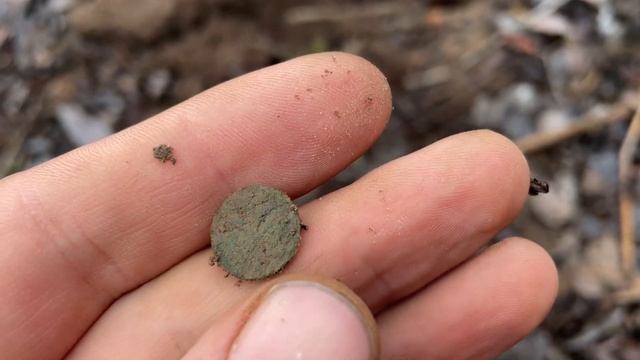 Петровские монеты и перстень! смотреть онлайн