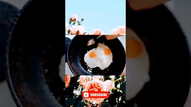 Завтрак Яичница сосиски и кофе на скорую руку #рецепты #food #кулинария #shorts #fyp #vlog смотреть онлайн