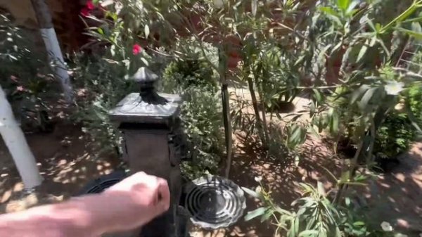 Азербайджан:еда! Что и где поесть в Азербайджане!? Яшыл Абадлык ресторан - сад в Баку