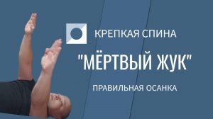 УПРАЖНЕНИЕ «МЁРТВЫЙ ЖУК» ДЛЯ КРЕПКОЙ СПИНЫ И ПЛОСКОГО ЖИВОТА