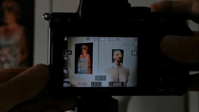 Nikon Z5 Low Light Auto Focus - It's GOOD!